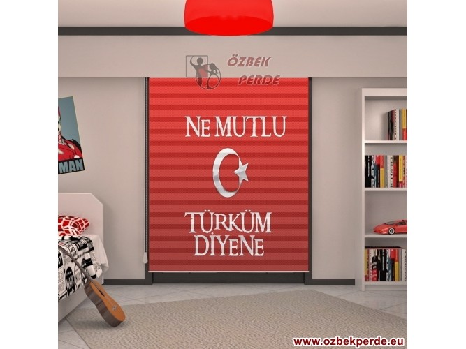 Ne Mutlu Türküm Diyene Zebra Perdesi